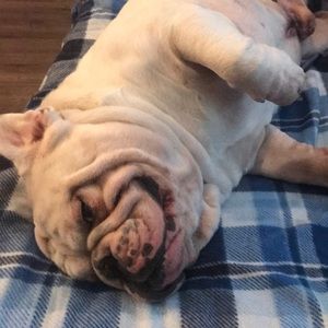 Meet your Posher, Cameron